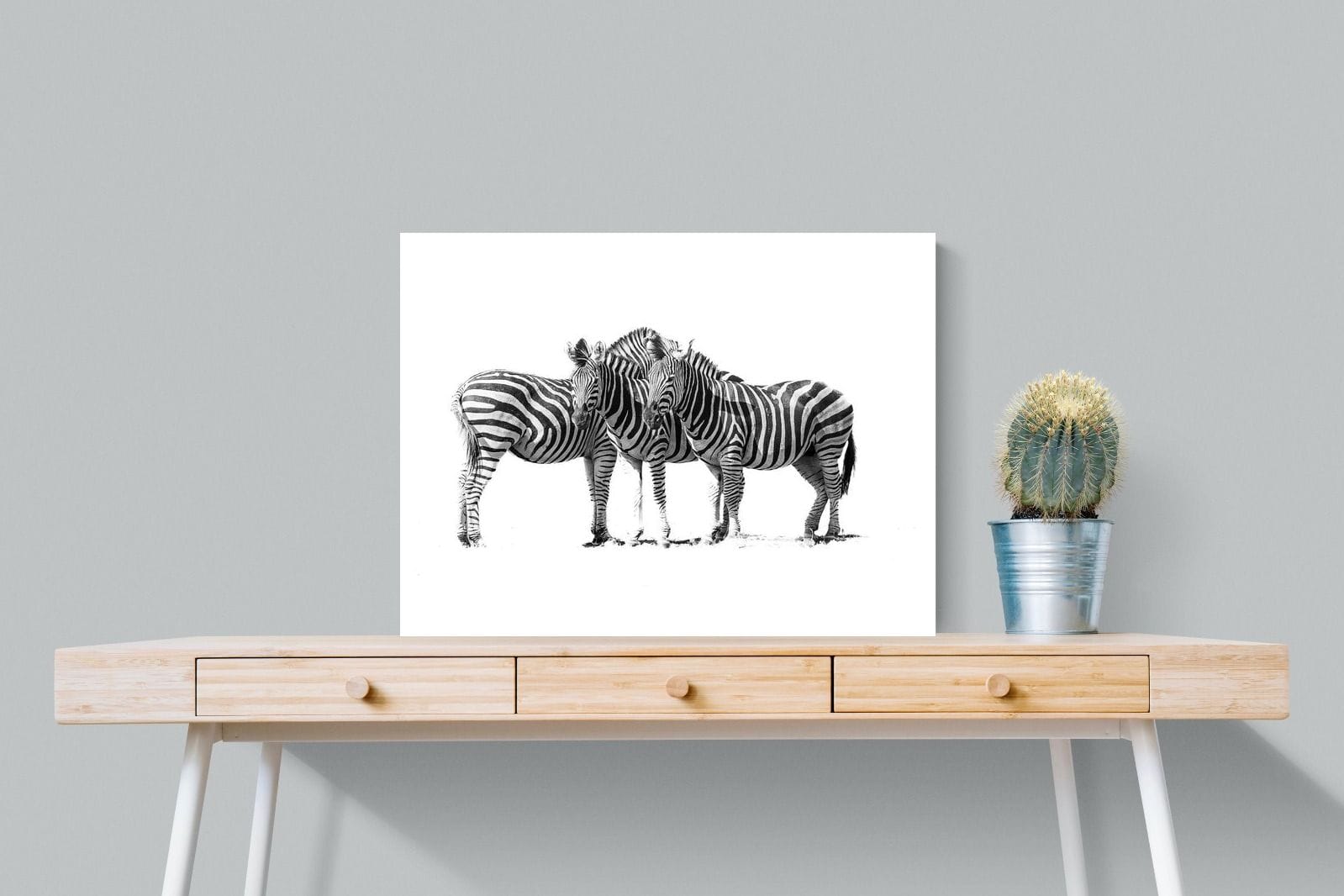 Zebra Trio-Wall_Art-80 x 60cm-Mounted Canvas-No Frame-Pixalot